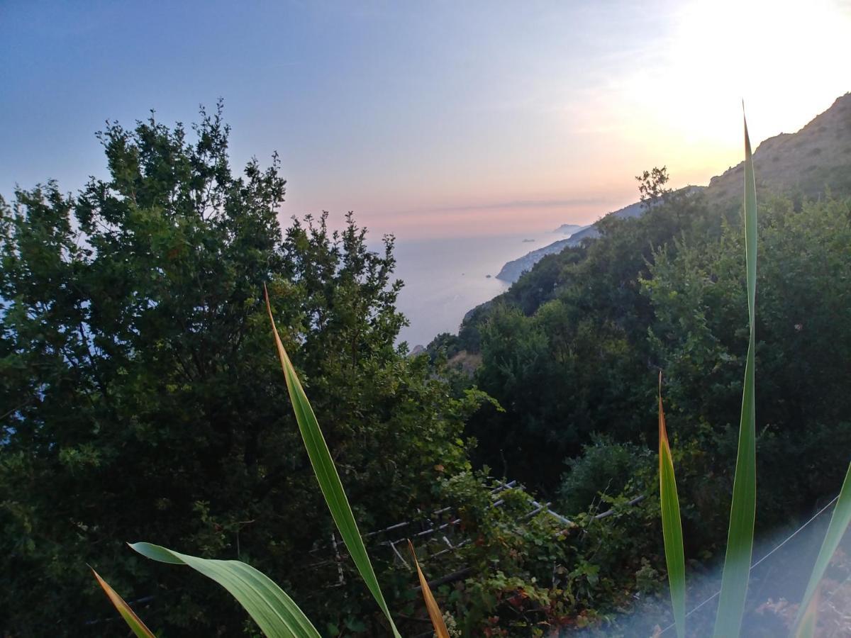 Апартаменти Giardino Sul Mare Амальфі Екстер'єр фото